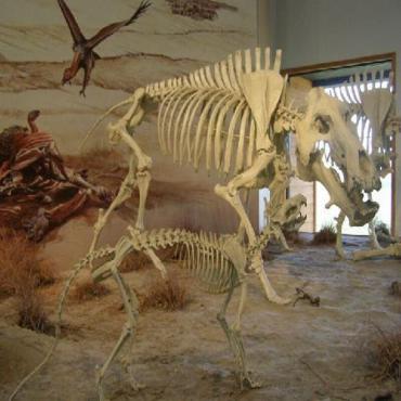 Agate Fossil Beds National Park