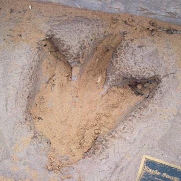 Dinosaur footprint.jpg