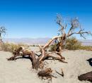 CA Death Valley.jpg