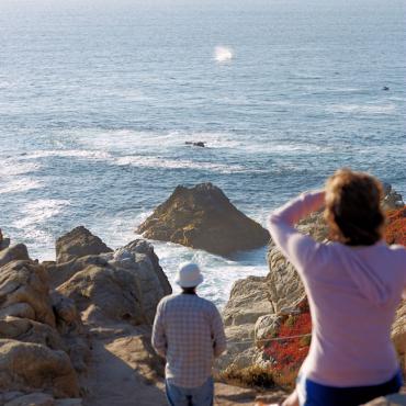 CA Whale watching from coast.jpg