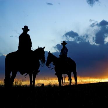 cowboys on horses