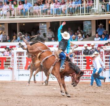 AB Calgary rodeo stampede
