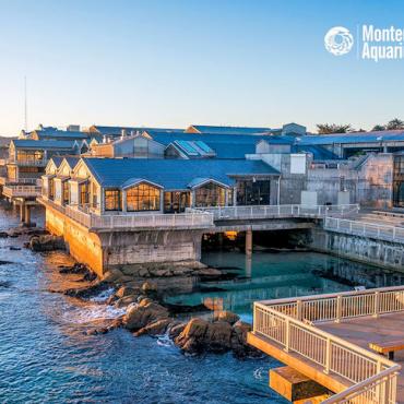 - Monterey Bay Aquarium 2019/20 :: Bon Voyage
