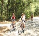 Cyclists through wooded area