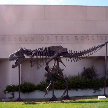 Museum of the Rockies MT