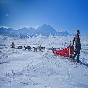 Man stood with dog sled