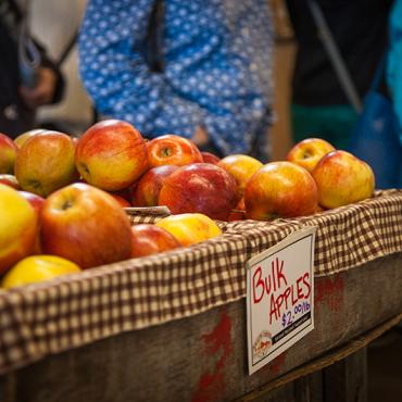 Apples from the farmers market, Halifax, Nova Scotia