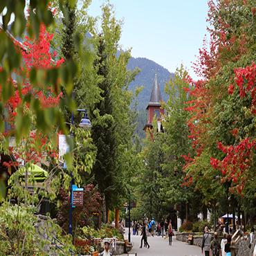 Whistler village with Fall trees