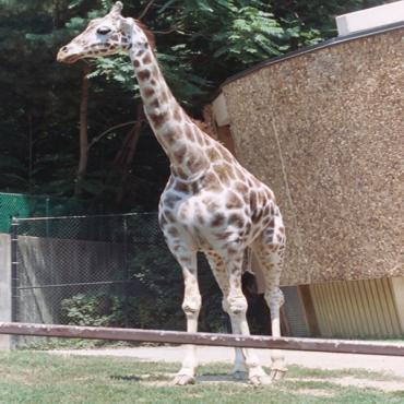 Maryland zoo