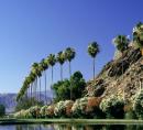 Palm Springs resort grounds