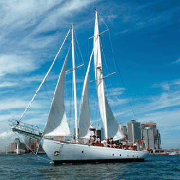 NYC Harbor sail