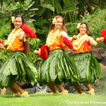 Hawaiian dancers 2