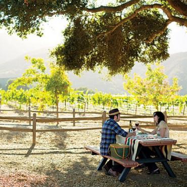 CA Monterey vineyard