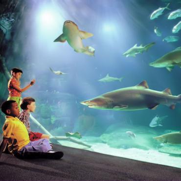 Virginia Beach -Virginia Aquarium.jpg